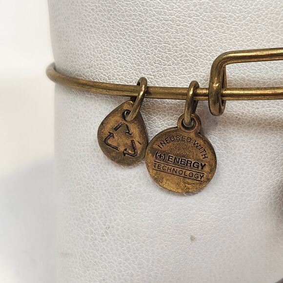 Alex and Ani Pineapple Dangle Charm Bangle Bracelet Antiqued Gold Tone Slider - Picture 3 of 4